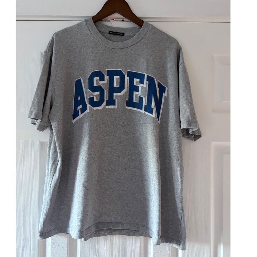 Brandy Melville Aspen Graphic T-Shirt Heather Gray Blue Applique MH387 OS